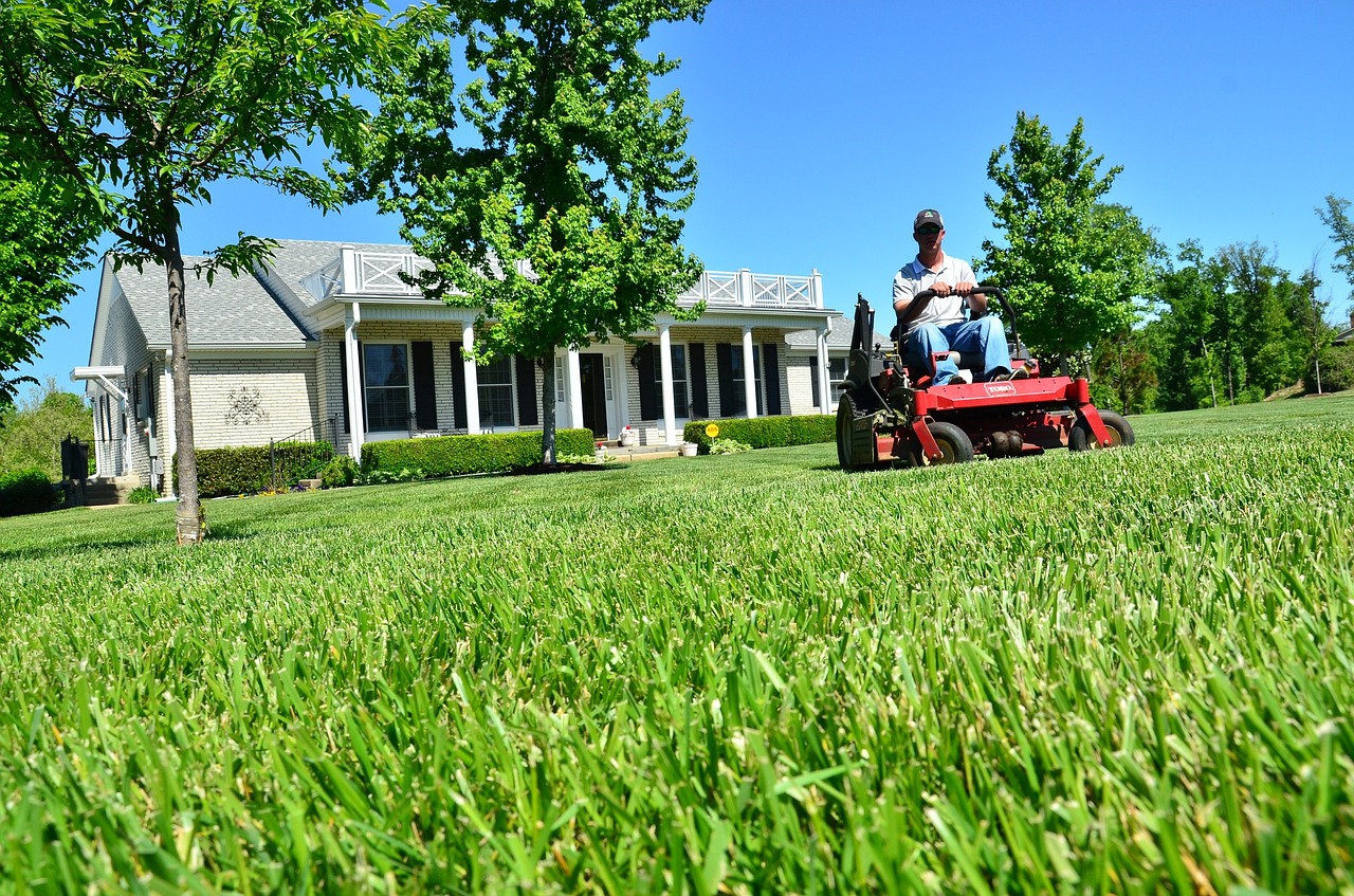 lawn mower cutting the grass