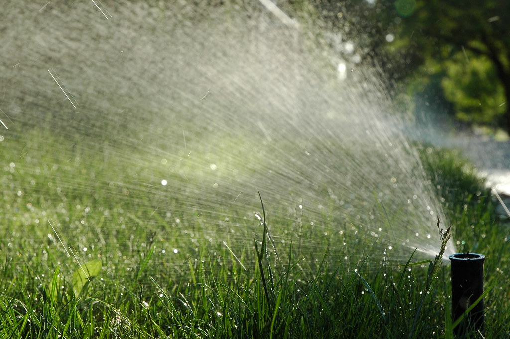 Essential Irrigation Tips for Healthy Lawns in St. Petersburg, FL