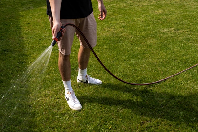 The Complete Guide to Lawn Care and Landscaping in St. Petersburg, FL