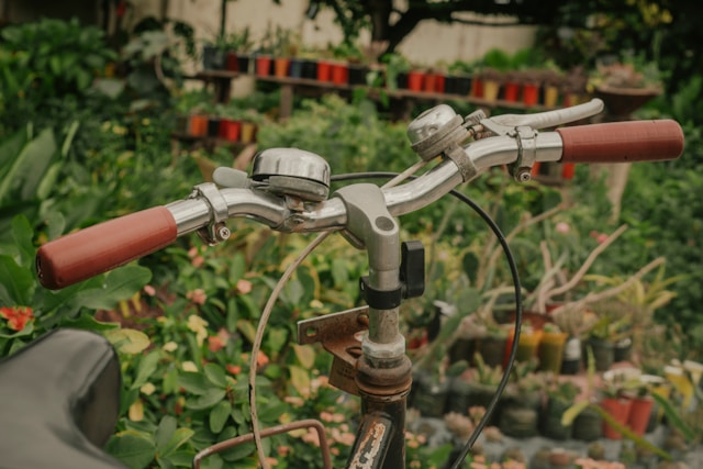 Smart Irrigation Tech for St. Pete Homes: How Wi-Fi Systems Adapt to Florida’s Unpredictable Rainfall