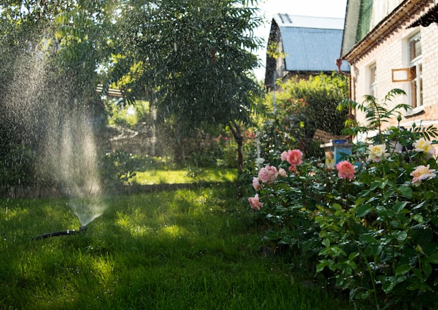 Optimizing Irrigation in Florida’s Coastal Climate: How St. Pete Lawn Care Tailors Water Systems for Maximum Efficiency