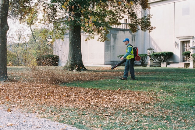 Seasonal Clean-Ups by St. Pete Landscaping Pros: Essential Lawn Maintenance for Every Season
