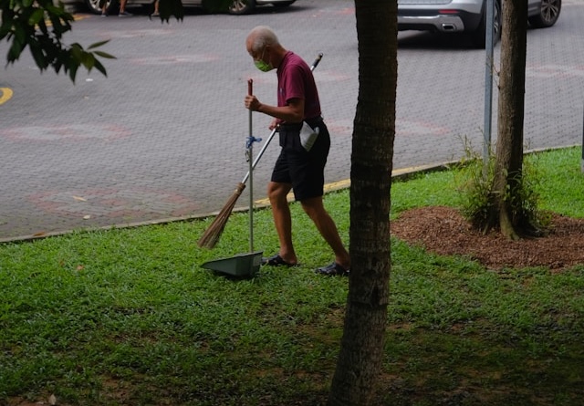 The Benefits of Professional Yard Cleanups: Why St. Pete Lawn Care is Your Go-To Service