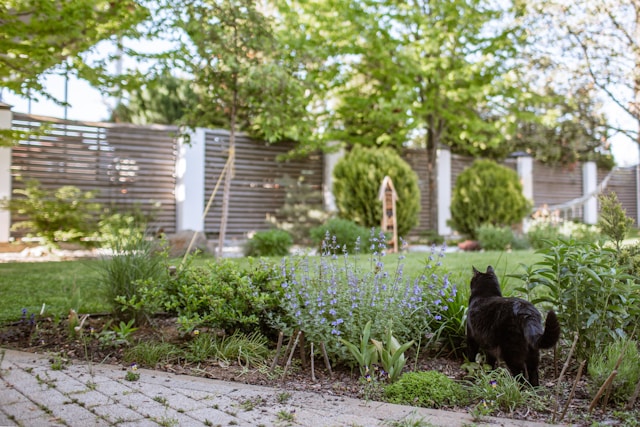 Landscaping Design & Garden Installation: Creating Beautiful Outdoor Living Spaces in St. Petersburg