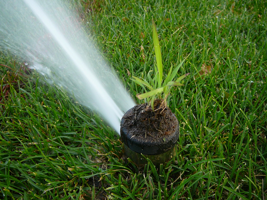 Irrigation Systems and Water Management in Florida Landscaping: Optimizing Efficiency for Coastal Properties