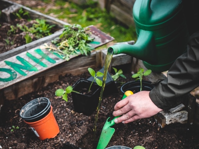 Sustainable Lawn Care and Gardening Practices in St. Petersburg: Building Healthy Urban Green Spaces